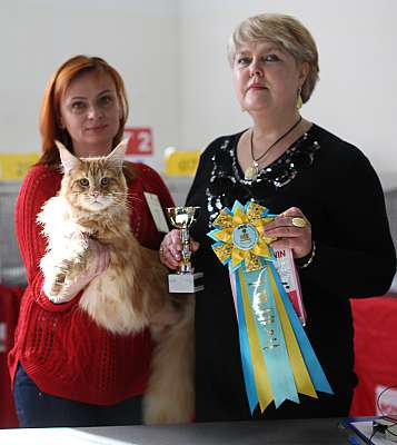   11-12  2015 WCF- 10-7-169A5452 copy.jpg